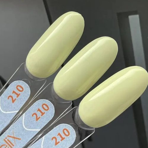 GeliX nail Polish #210 8ml